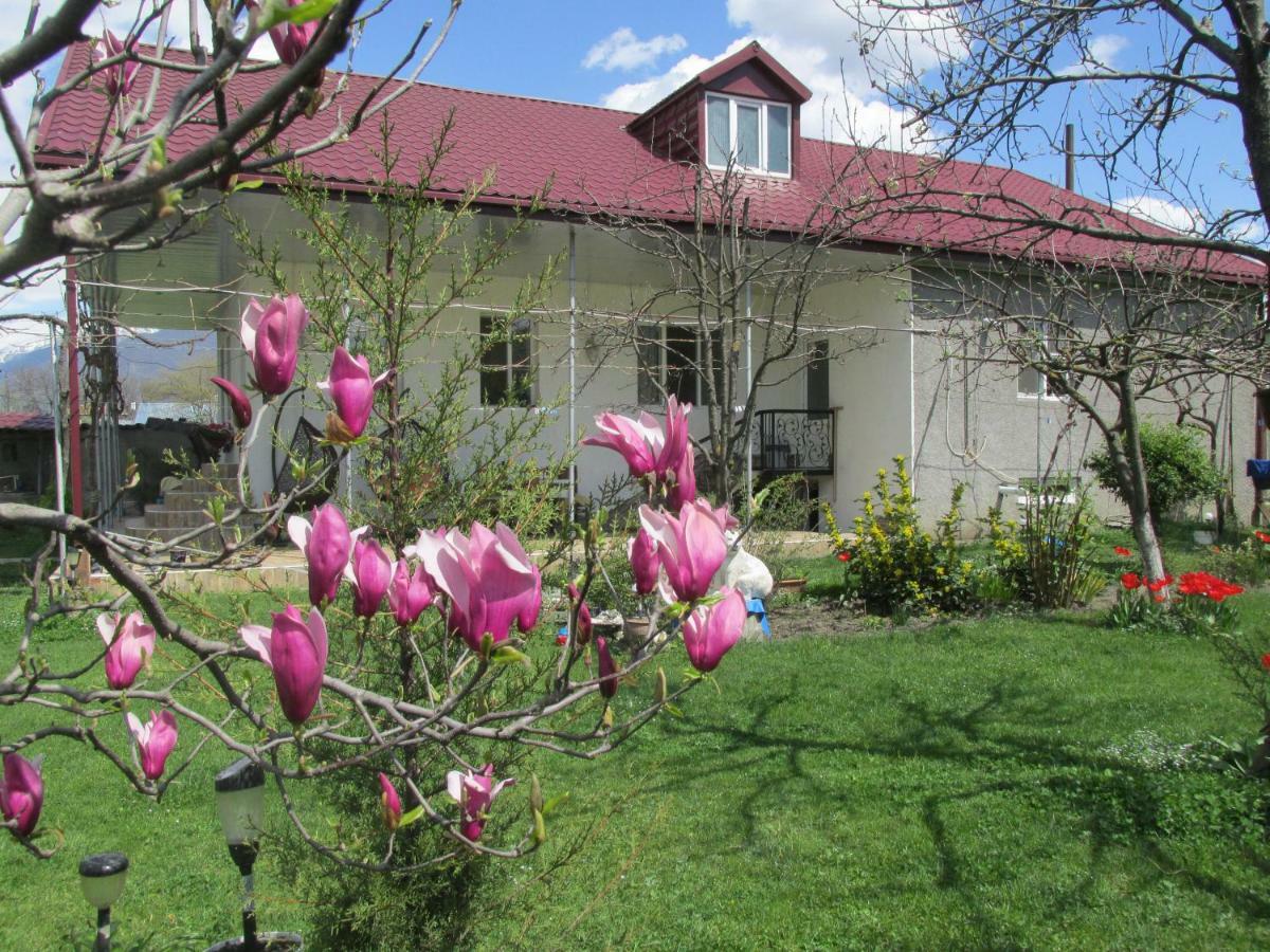 Guest House Melissa Duisi Екстер'єр фото